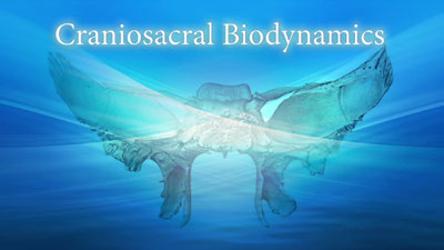 Biodynamic Craniosacral Therapy