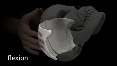 The Parietal Hold