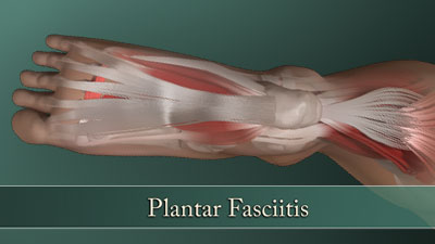 Structural Integration DVDs