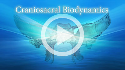 Craniosacral Biodynamics Online Course