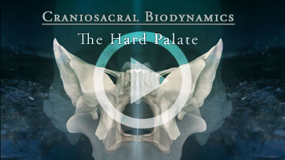 Craniosacral Biodynamics Online Course