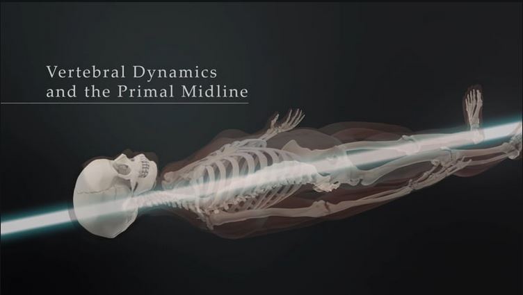 Biodynamic Craniosacral: Volume 4 - Vertebral Dynamics - Lyons