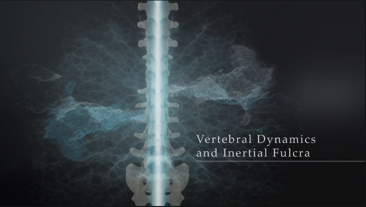 Vertebral Dynamics