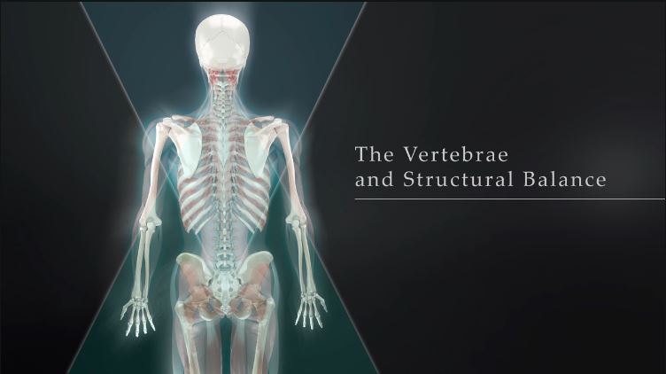 Structural Balance