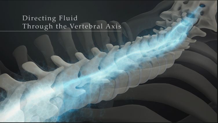 Directing Fluid through the Vertebral Axis