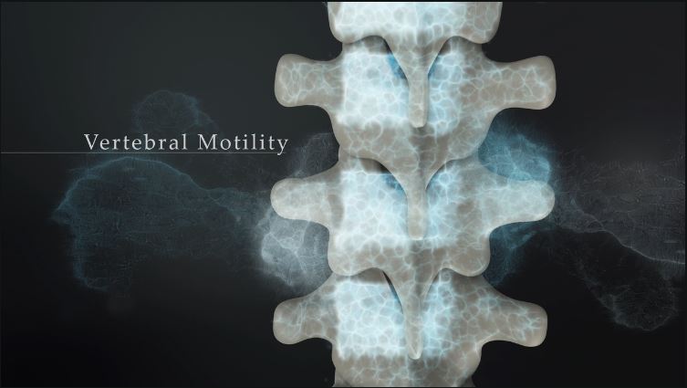 Vertebral Motility: Part 1