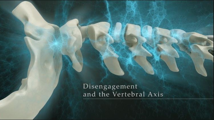 Disengagement and the Vertebral Axis