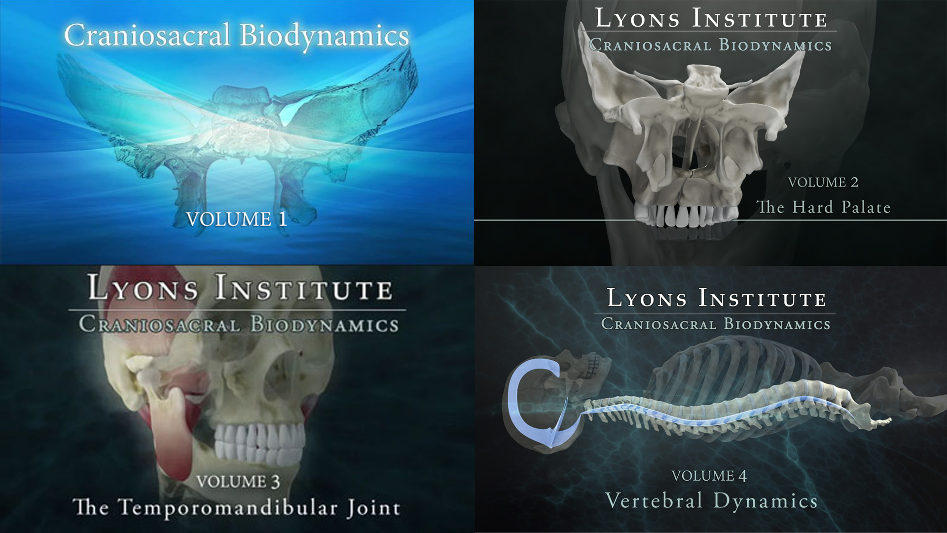 Biodynamic Craniosacral Therapy DVDs