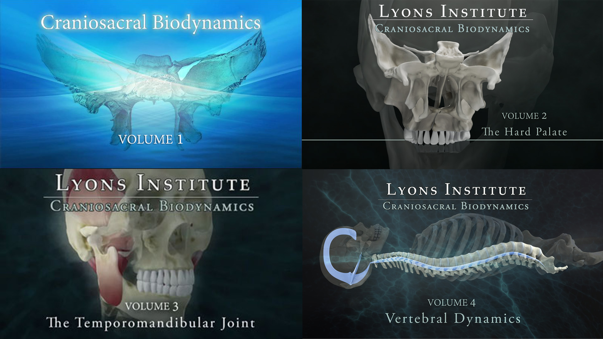 Biodynamic Craniosacral: Vertebral Dynamics - Lyons Institute