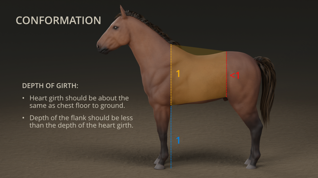 Structure and Conformation