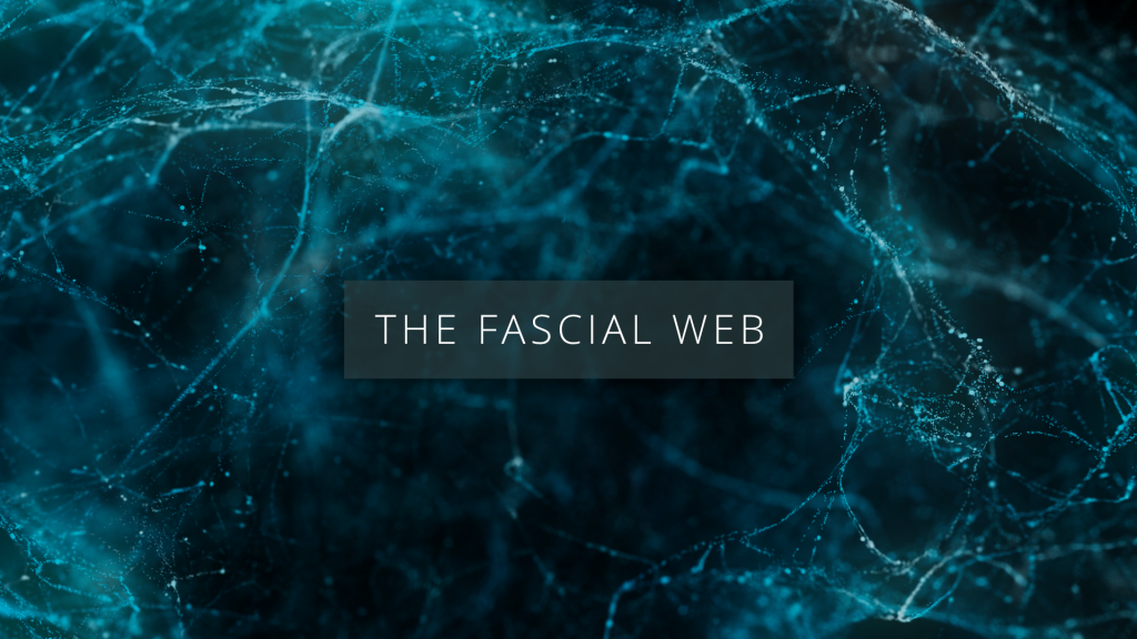 The Fascial Web