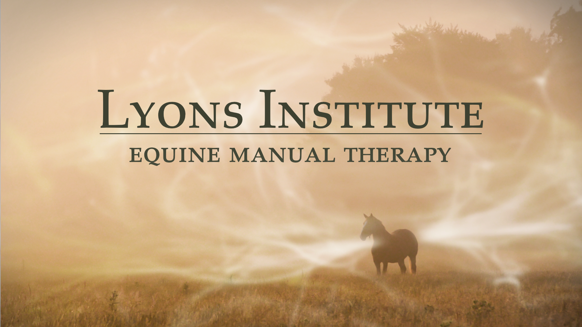 Equine Manual Therapy