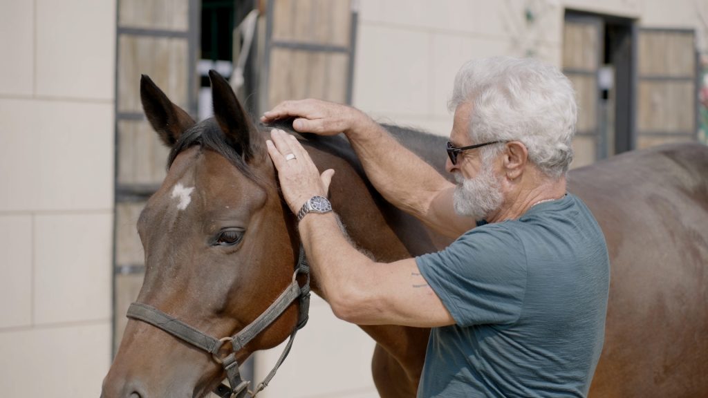 equine-cranial-sacral